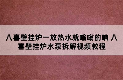 八喜壁挂炉一放热水就嗡嗡的响 八喜壁挂炉水泵拆解视频教程